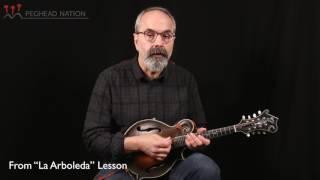 Peghead Nation's Melodic Mandolin Tunes Course with John Reischman