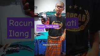 Racun Tikus Mati Ilang Rats Killers #racuntikus #racuntikusampuh