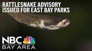 Rattlesnake advisory issued for East Bay parks, trails