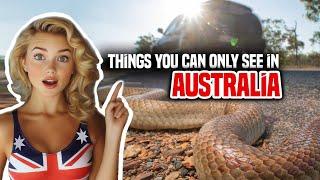 21 Things You Can Only See in Australia | Amazing Journeys