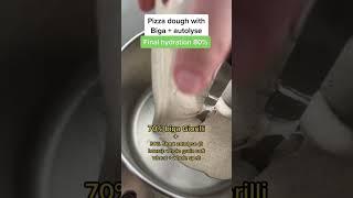 High hydration pizza dough with biga and autolyse