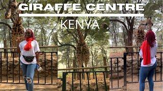 A VISIT TO THE GIRAFFE CENTER/Things to do in Nairobi/Kenya