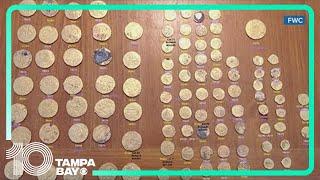 Florida investigators find gold coins stolen from shipwrecks