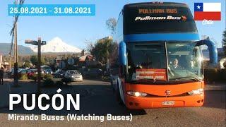 WATCHING BUSES in PUCÓN (Chile) - August 25 to 31, 2021