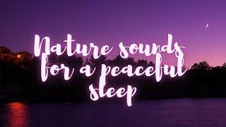 4 Hours Of Relaxing Nature Sounds For A Peaceful Night’s Sleep – Sleeping, Relaxing And Meditation