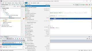 Debugging Java in IntelliJ IDEA