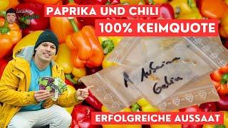 Paprika erfolgreich vorkeimen 100% Aussaat