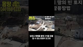 세종시토지 활용방안 나성동 부동산 세종 몽땅부동산 공인중개사