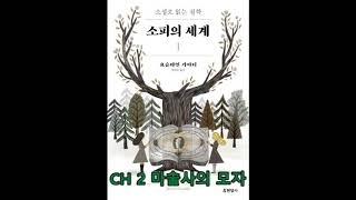 소피의 세계 1: CH 2 마술사의 모자