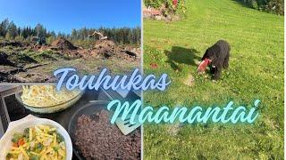 Maanantai | mitä mun päivässä oli tänään 