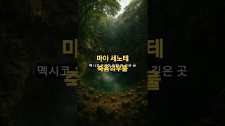 죽음의 우물 – 마야 세노테에 잠든 수천 구의 시신