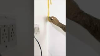 Interior wall painting perfect cutting #bollywood #song #oldisgold #short