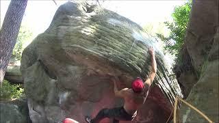 Fontainebleau - Les Mammouths - Dragon Skin 7B