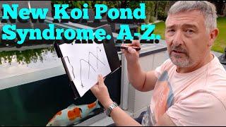 NEW POND SYNDROME,**HIGH AMMONIA/ NITRITE** STARTING NEW KOI POND FILTERS**how to get through it..