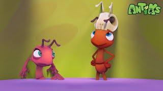 The Big Pitcher | ANTIKS | Moonbug Kids - Funny Cartoons and Animation