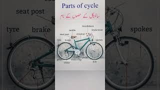 parts of cycle ||| cycle k hisoo k name | #viral #viralshort #cycle