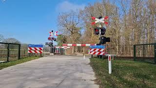 Spoorwegovergang Goor // Dutch Railroad Crossing