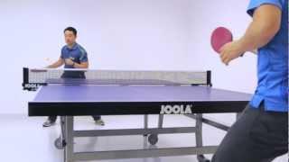 JOOLA 3000 SC Table with WM Net