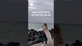 Как получить аттестат без школы - бесплатный вебинар 17 ноября. Ссылка на регистрацию в комментариях