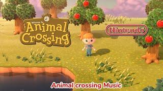 The calmest animal crossing music mix you will ever listen to