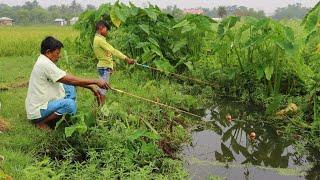 Fishing ️||Big fish are being caught in village canal with hook and small fish bait ||Hook fishing