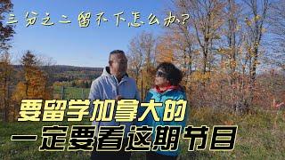 三分之二被迫回国怎么办？要留学加拿大，这期节目一定要看