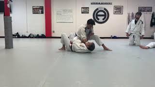 Master Pedro Sauer knee on belly escape!