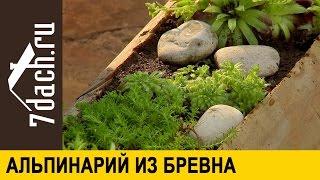 АЛЬПИНАРИЙ: как сделать из бревна композицию с альпийскими растениями - 7 дач