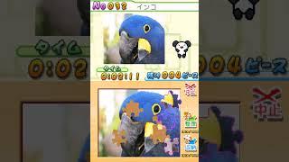 Puzzle Series Vol. 1 Jigsaw Puzzle Gameplay (Nintendo DS)