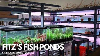 Aquascaping Store Tour - Fitz's Fish Ponds