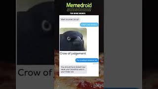 Crow of judgement #pizza #dating #tinder #funny #memes