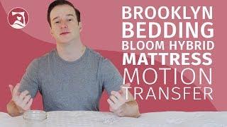 Brooklyn Bedding Bloom Hybrid Mattress - Motion Transfer