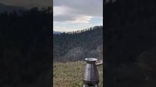 В жизни обязательно должно быть