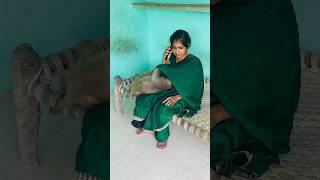 How babu searching banana new funny video #monkeyvideosforkids #monkey #funnyclip