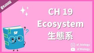 重點回顧: CH 19 Ecosystem 生態系