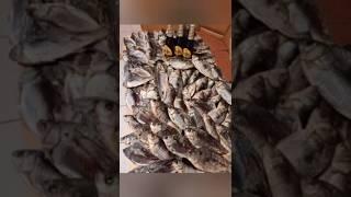 Отменный карасик!!! Вкуснее мяса!!! #рыбалка #зимняя #карась