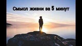 Смысл жизни за 5 минут!