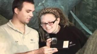 Kevin P. Roberson Reports - Como Zoo.mkv