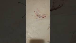 Роспись стен 2000 год, как новая!️‍#арт #художник #art #drawing #painting #artwork #like