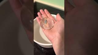 A very demure water balloon 🪼#oddlysatisfying #diy #satisfying #viral #hazbinhotel #lucifer