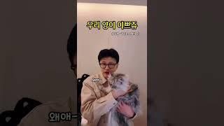 안아달라는 고양이 #양이