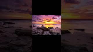 Dream Views