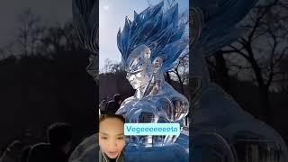 Rock vegeta