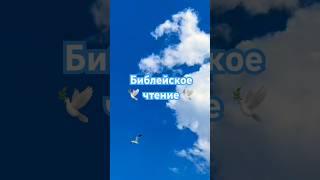  Библия на сегодня Псалом 145 ️ Господь помогает #библия #сегодня #бог #short