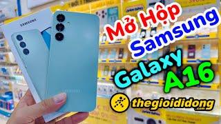 Review Mở Hộp Samsung Galaxy A16 tại Thế Giới Di Động