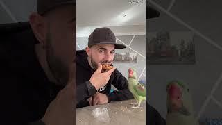 Man Shares Snack With Parrot || ViralHog