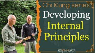 Developing Internal Principles