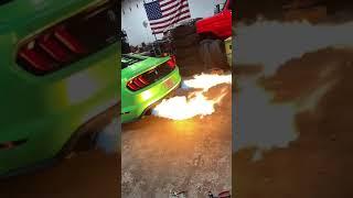 Mustang GT top speed in India 237k/m #shorts 