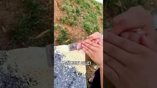 라면 장인의 놀라운 복원 기술