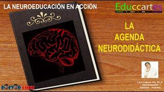 12 La Agenda Neurodidáctica